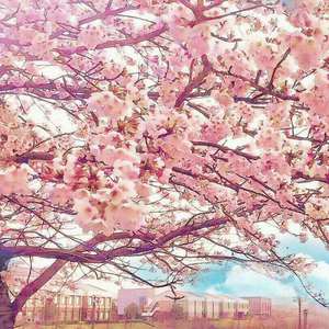 刘亦菲换脸性做爰A片
